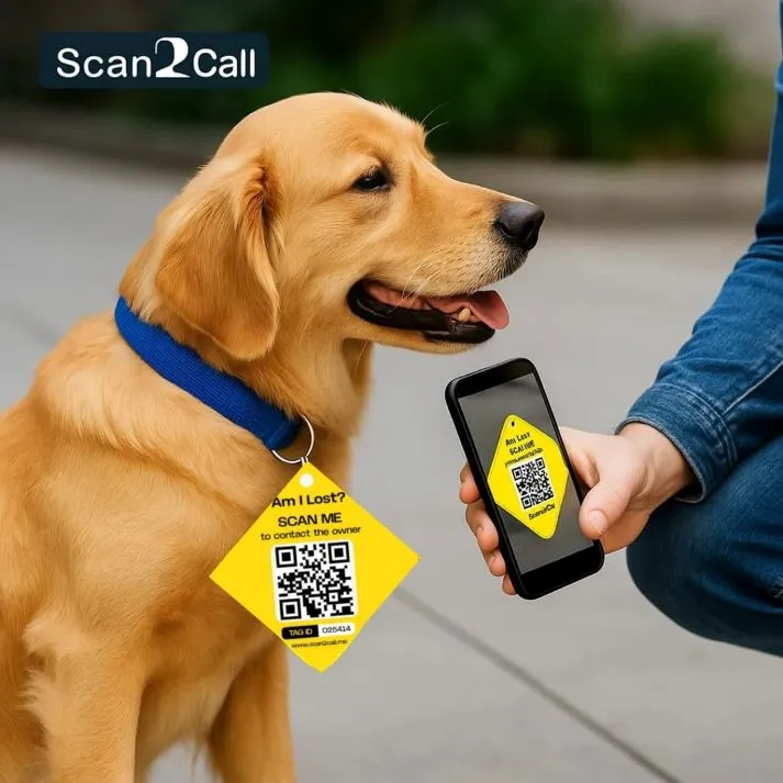 Scan Use